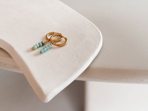 FINE Oorbellen - Amazonite